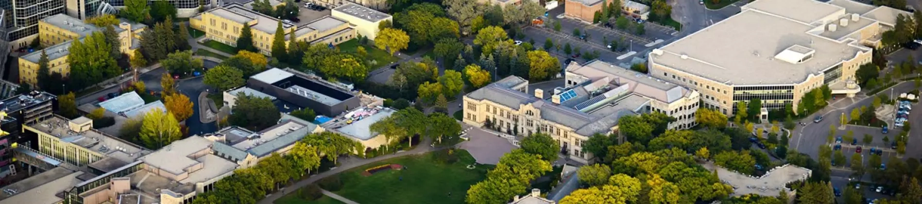 Bachlor of Studio Art